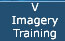 Imagery Training